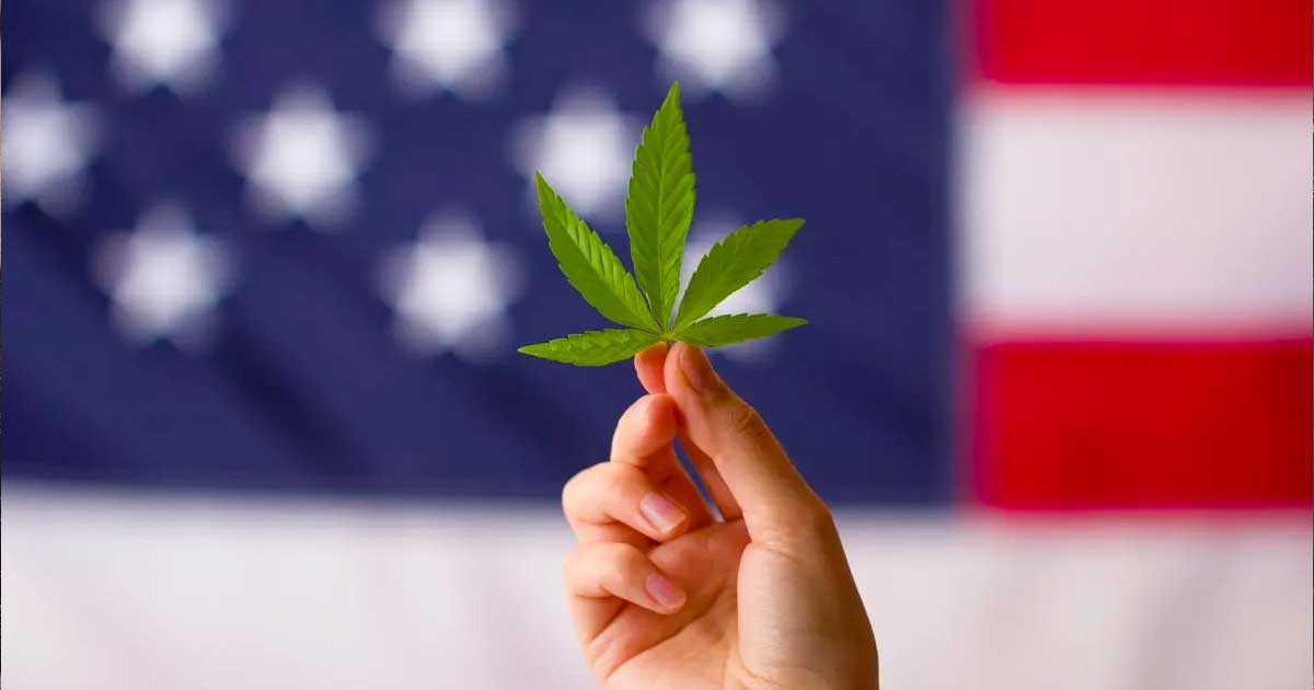 Riclassificazione della cannabis negli USA
