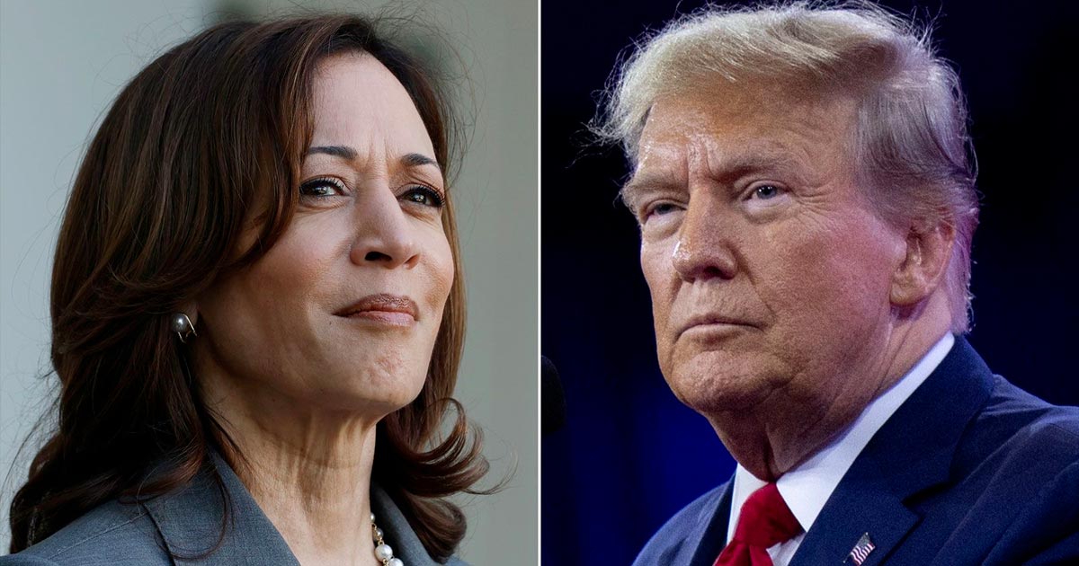 Legalizzare la cannabis negli Stati Uniti con Kamala Harris o Donald Trump