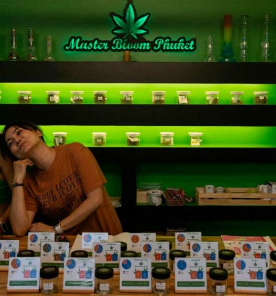 Regolamentazione della cannabis legale in Thailandia