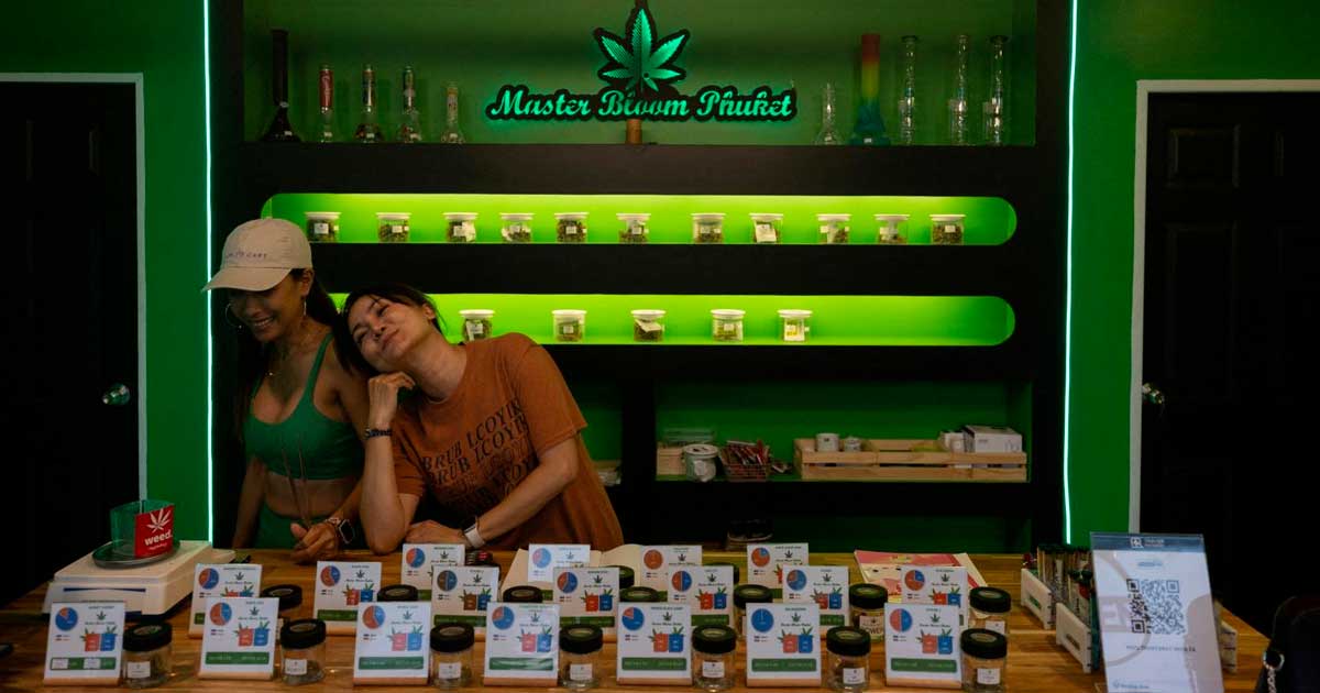 Regolamentazione della cannabis legale in Thailandia