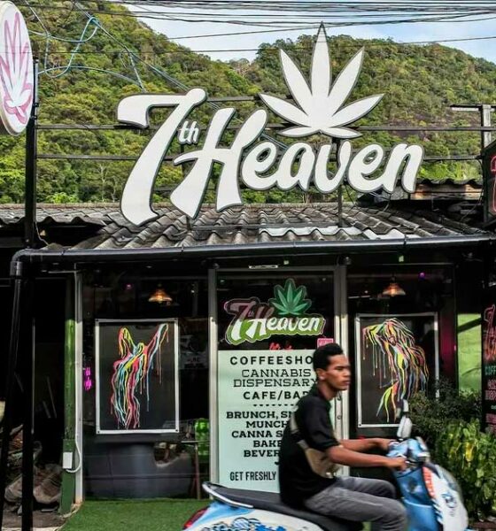 Regolamentazione della cannabis in Thailandia