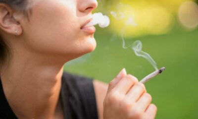 Il consumo di cannabis cala tra gli adolescenti