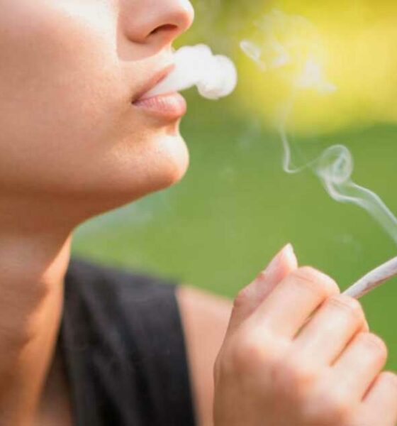 Il consumo di cannabis cala tra gli adolescenti