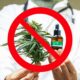 Stop alla cannabis terapeutica in Francia