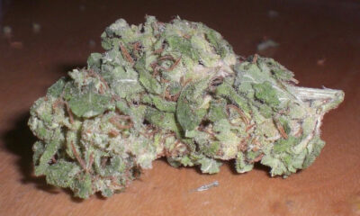 Blue Cheese