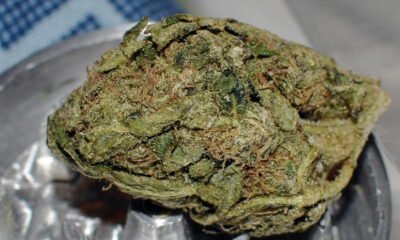 Durban Poison