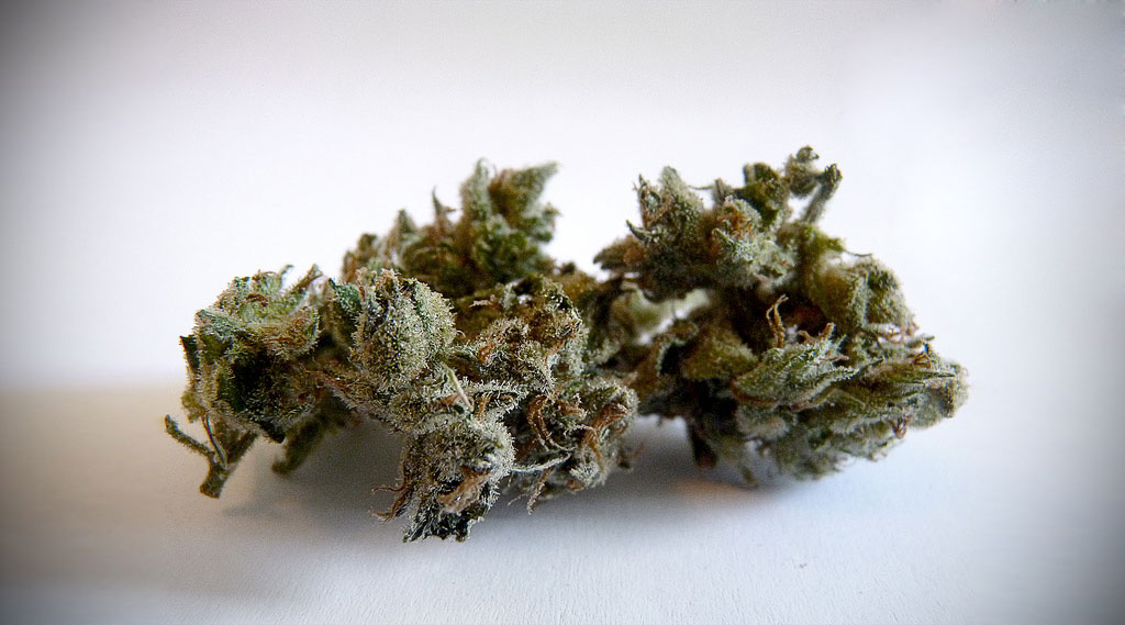 Jack Herer