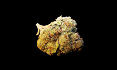 Snowcap