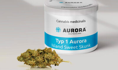 Island Sweet Skunk di Aurora